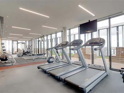 Picture 8
